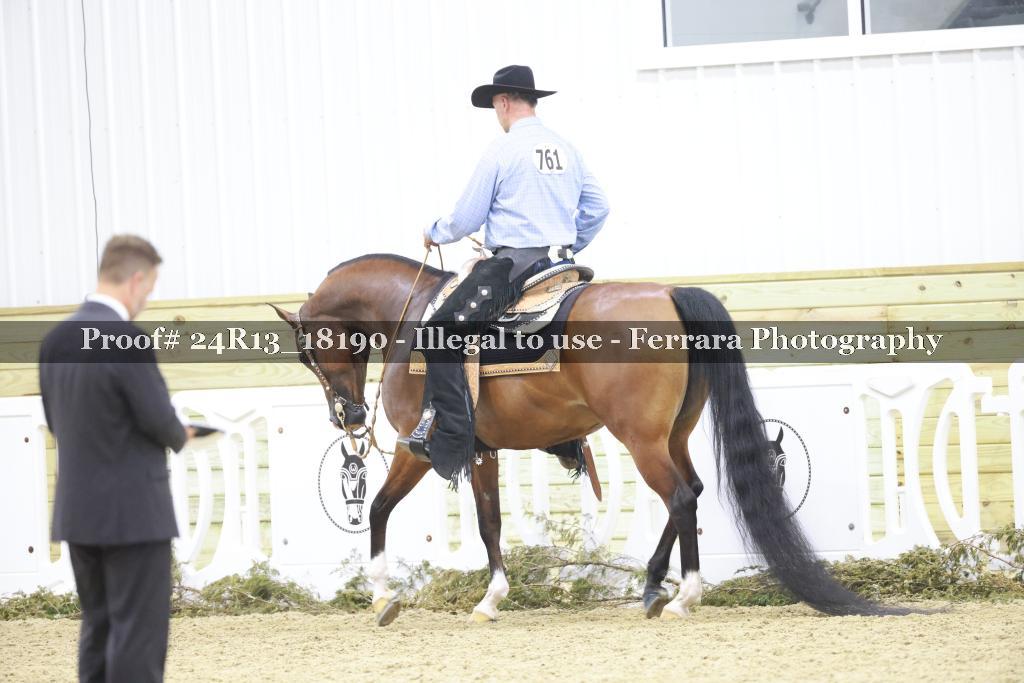 Proof 24R13_18190