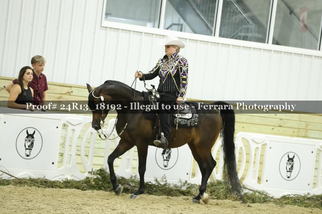 Proof 24R13_18192