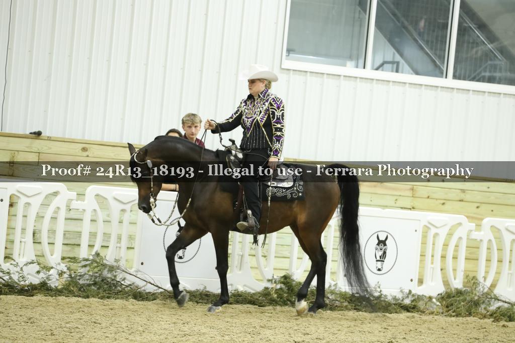 Proof 24R13_18193