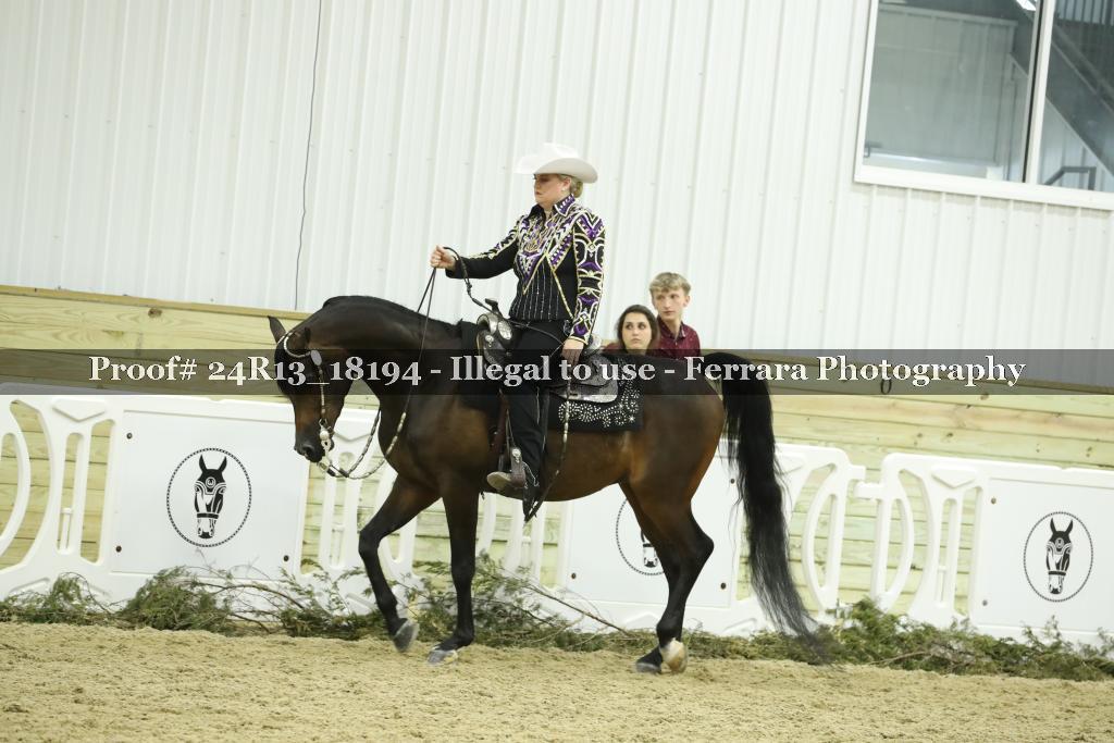 Proof 24R13_18194