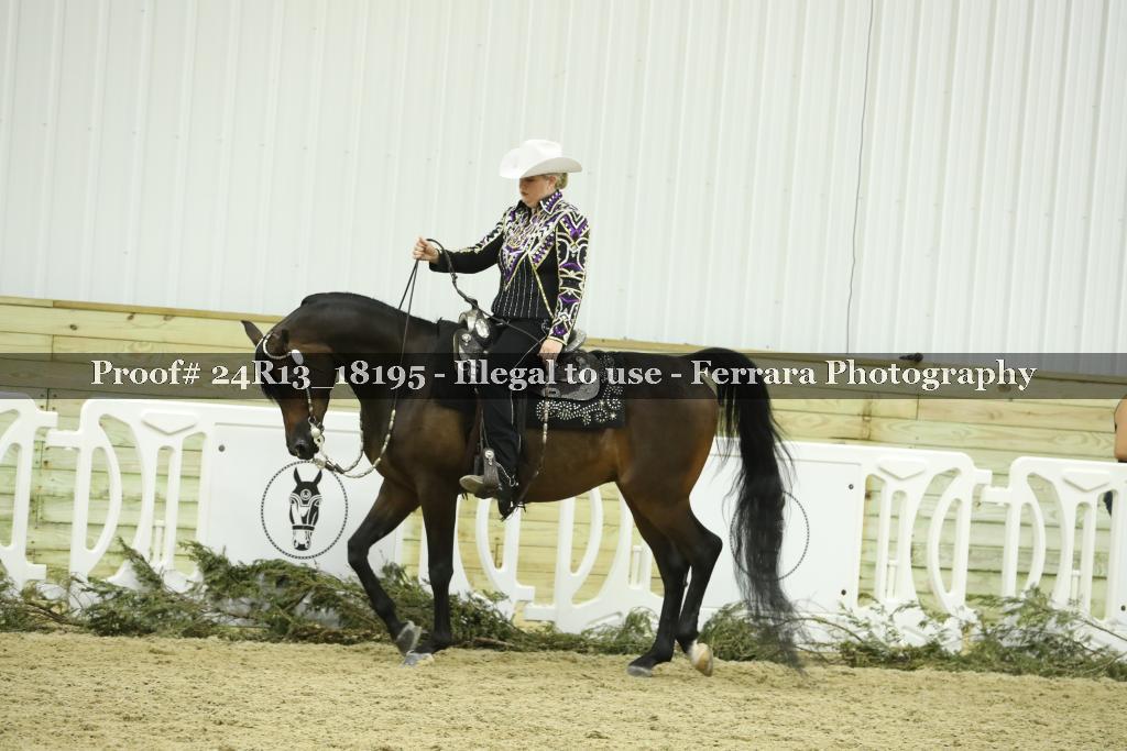 Proof 24R13_18195