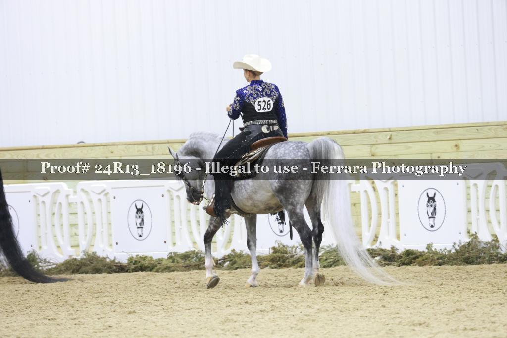Proof 24R13_18196