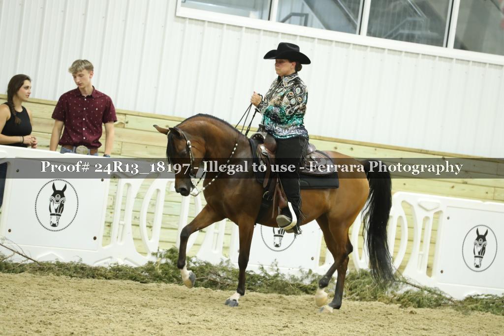 Proof 24R13_18197