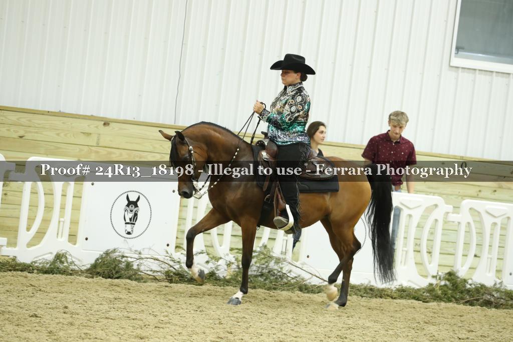 Proof 24R13_18198