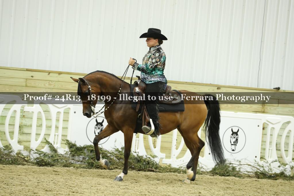 Proof 24R13_18199