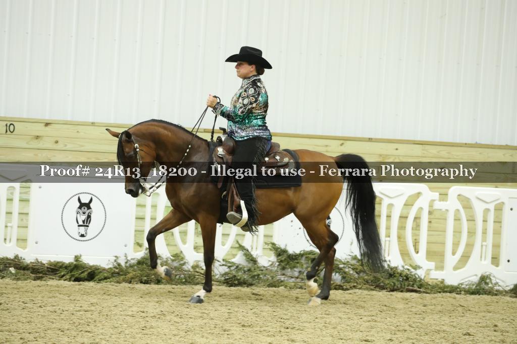 Proof 24R13_18200