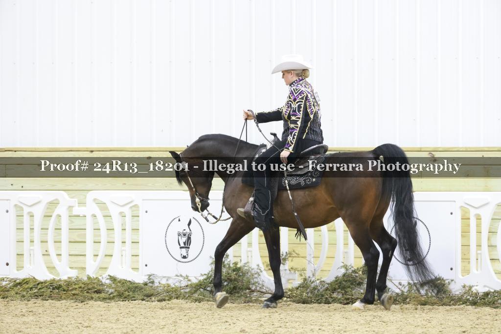 Proof 24R13_18201