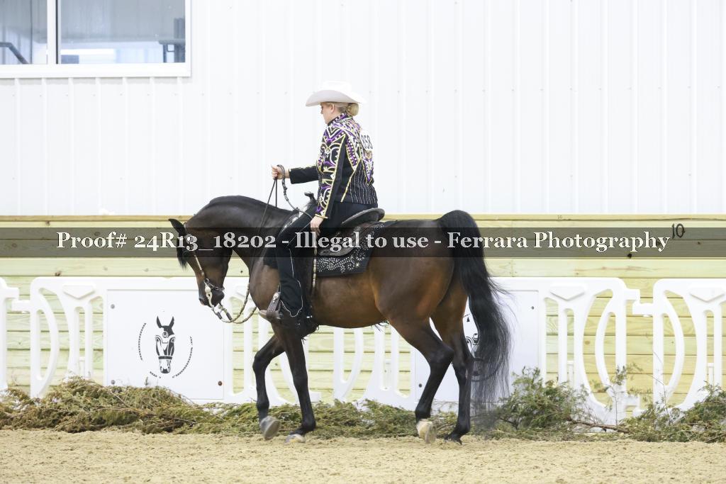 Proof 24R13_18202