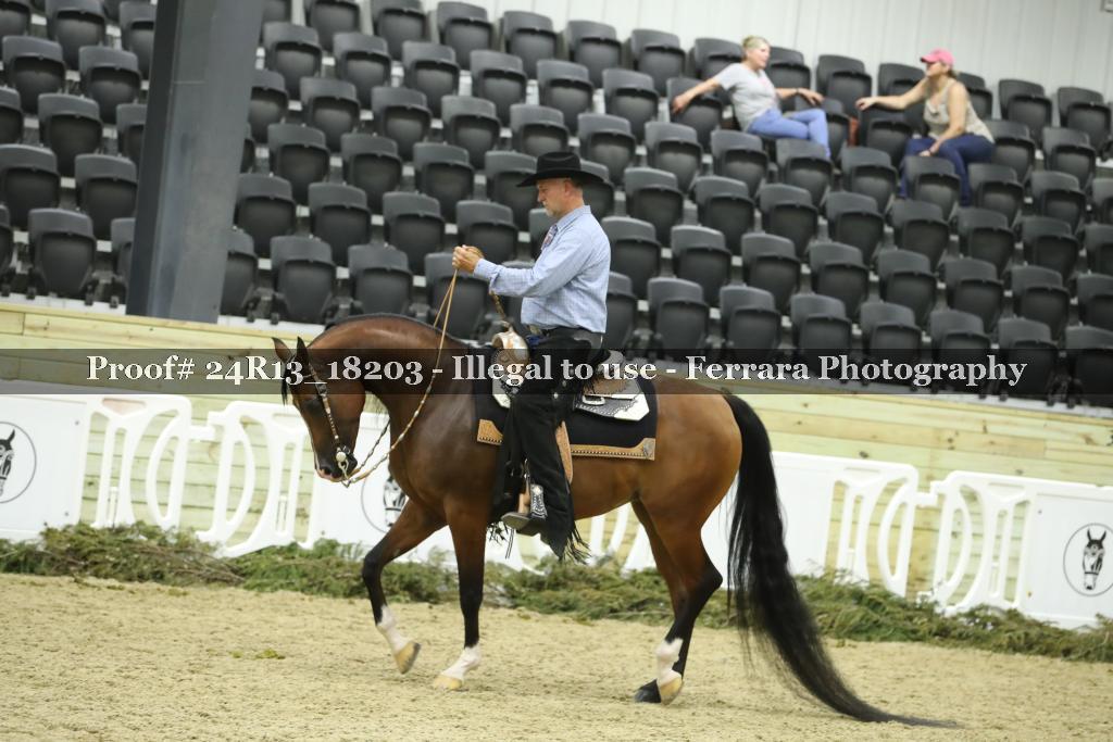 Proof 24R13_18203