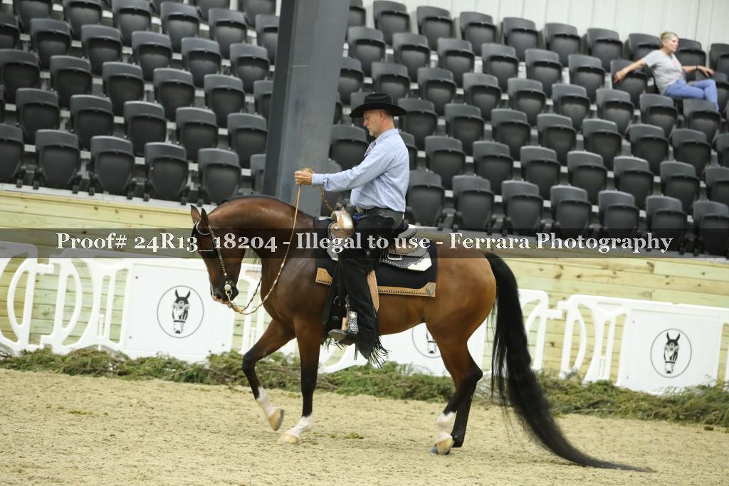 Proof 24R13_18204
