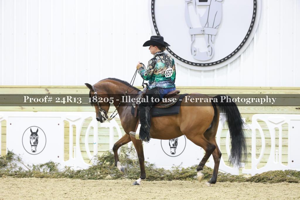 Proof 24R13_18205