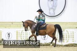 24R13_18205 proof