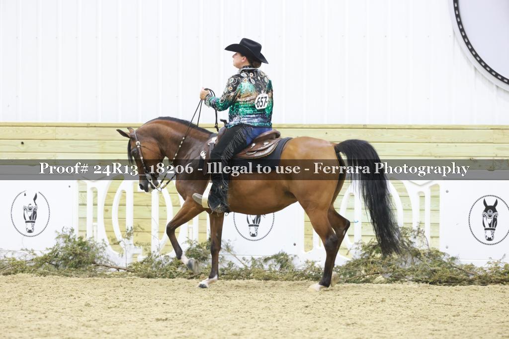 Proof 24R13_18206