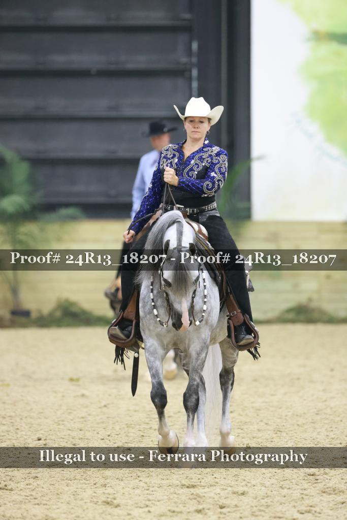 Proof 24R13_18207