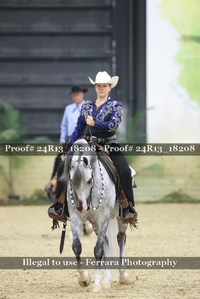 Proof 24R13_18208