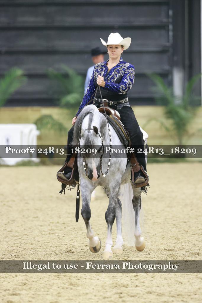 Proof 24R13_18209