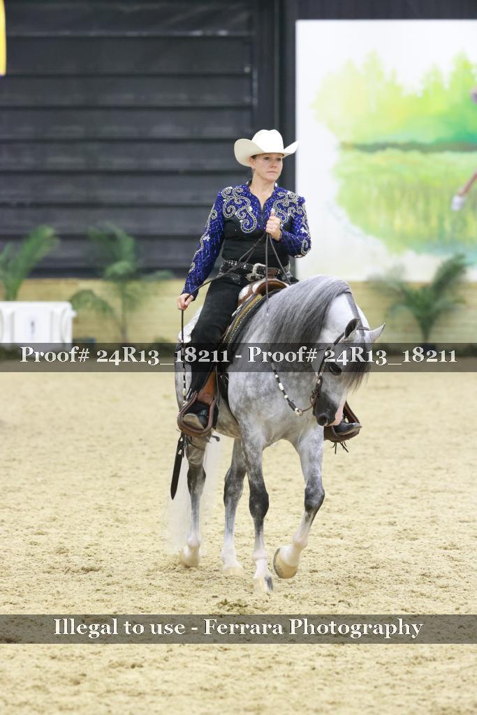 Proof 24R13_18211