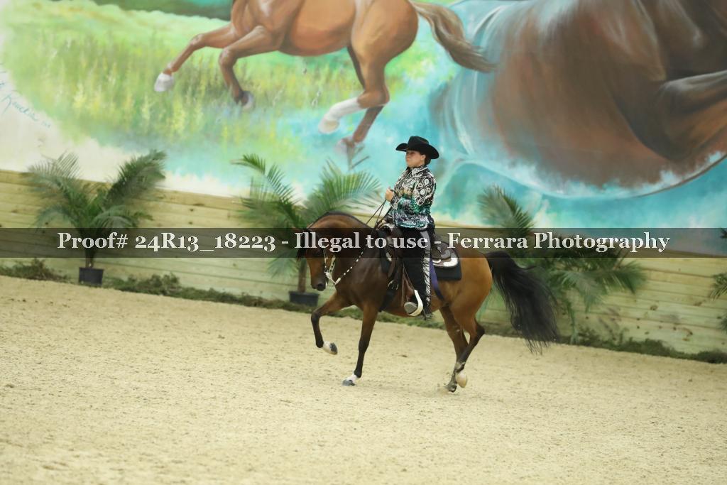 Proof 24R13_18223