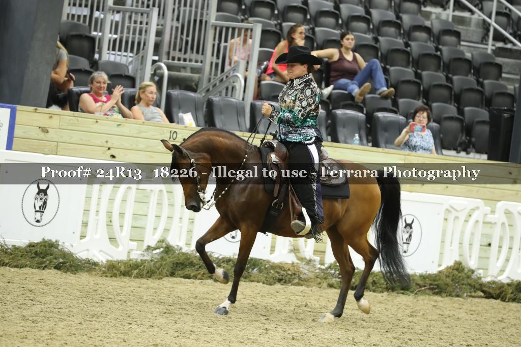 Proof 24R13_18226