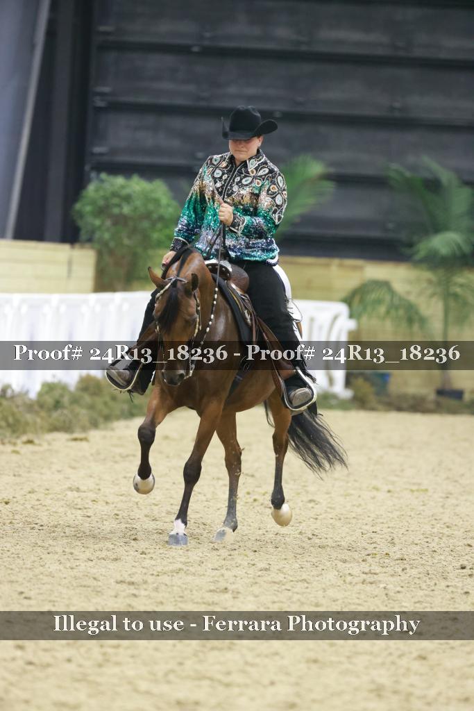 Proof 24R13_18236
