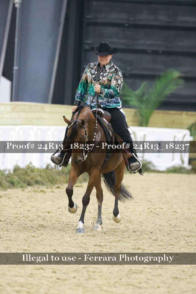 Proof 24R13_18237