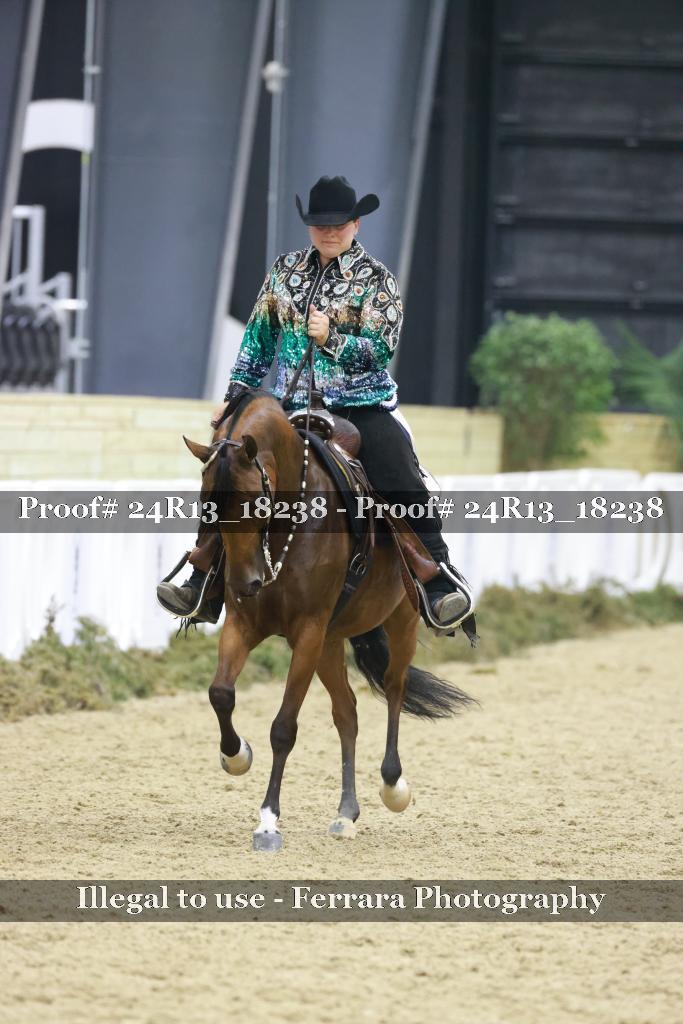 Proof 24R13_18238