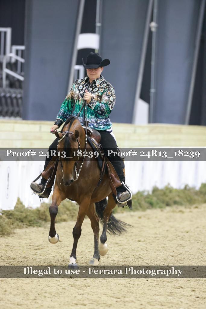 Proof 24R13_18239