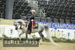24R13_18253 proof