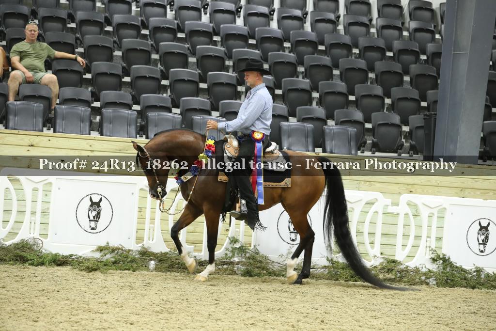 Proof 24R13_18262