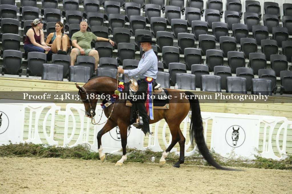 Proof 24R13_18263