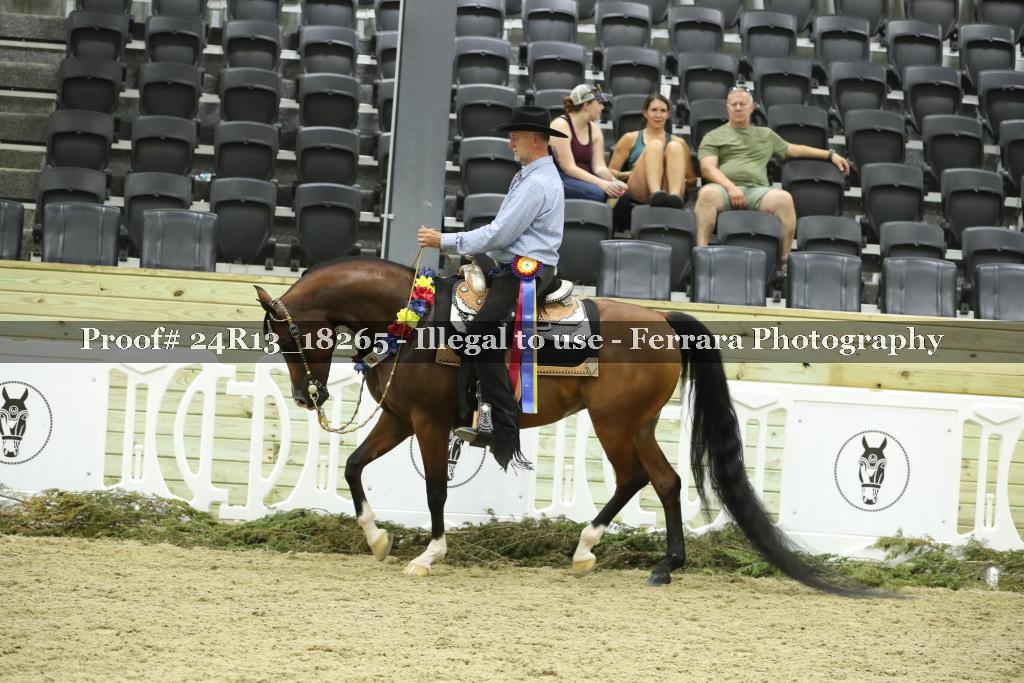 Proof 24R13_18265