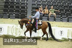 24R13_18265 proof