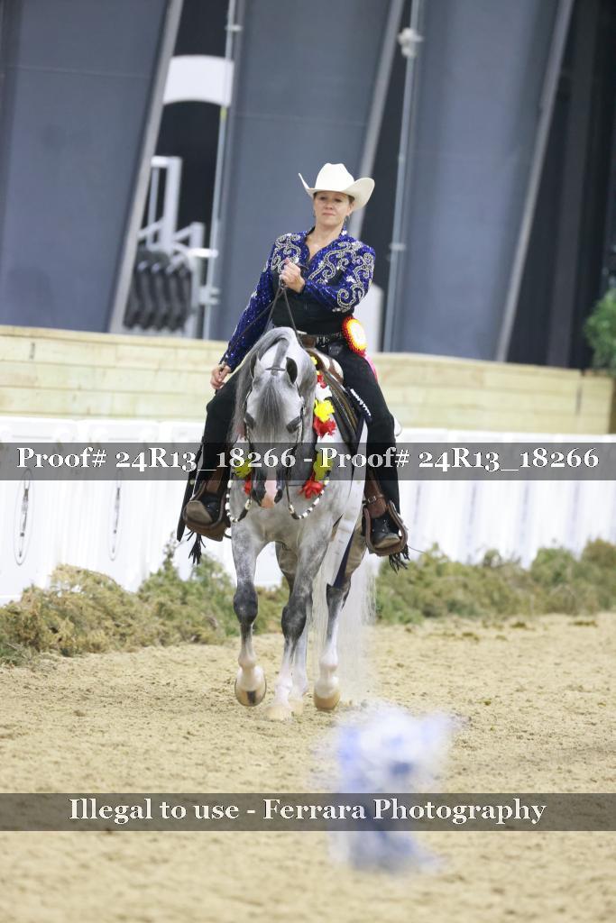Proof 24R13_18266