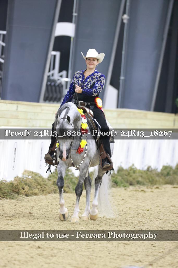 Proof 24R13_18267