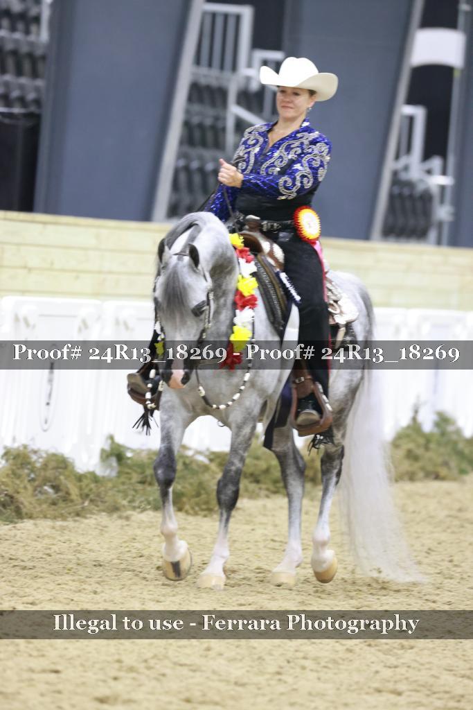 Proof 24R13_18269