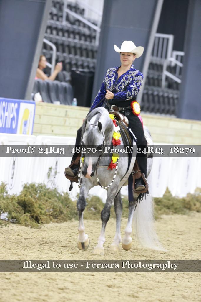 Proof 24R13_18270