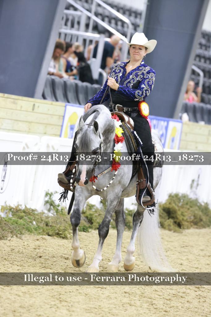 Proof 24R13_18273