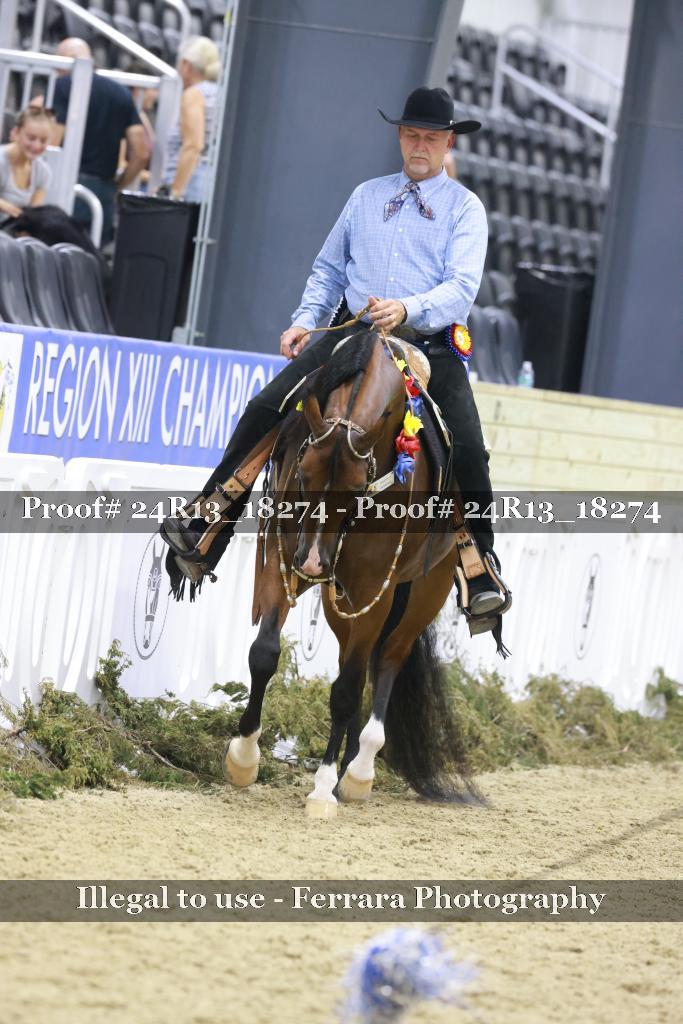 Proof 24R13_18274