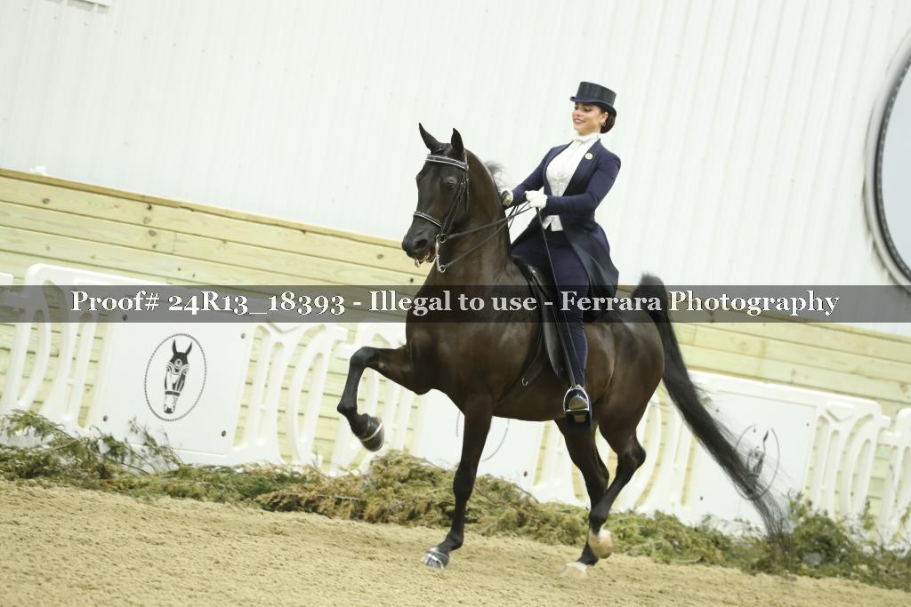 Proof 24R13_18393