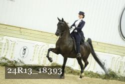 24R13_18393 proof