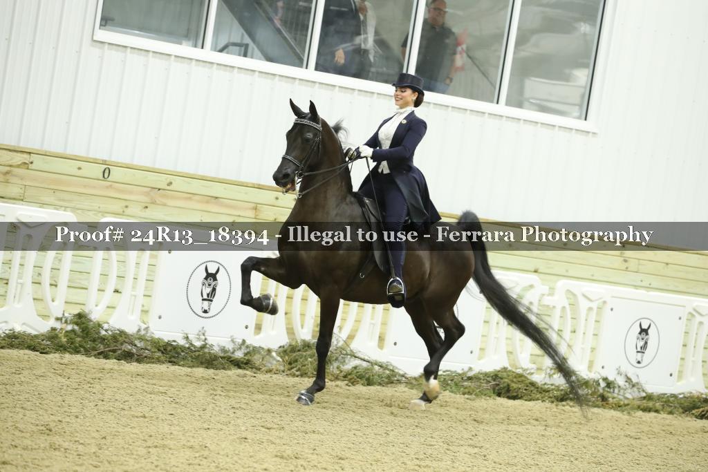 Proof 24R13_18394