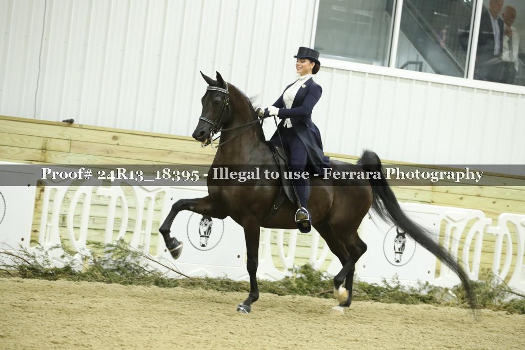 Proof 24R13_18395