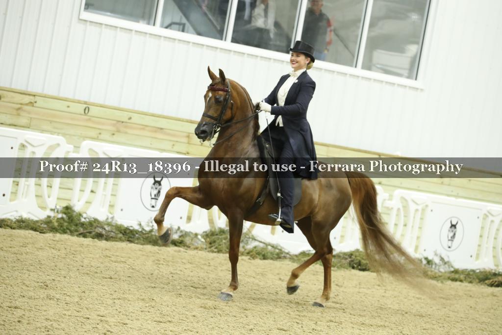 Proof 24R13_18396