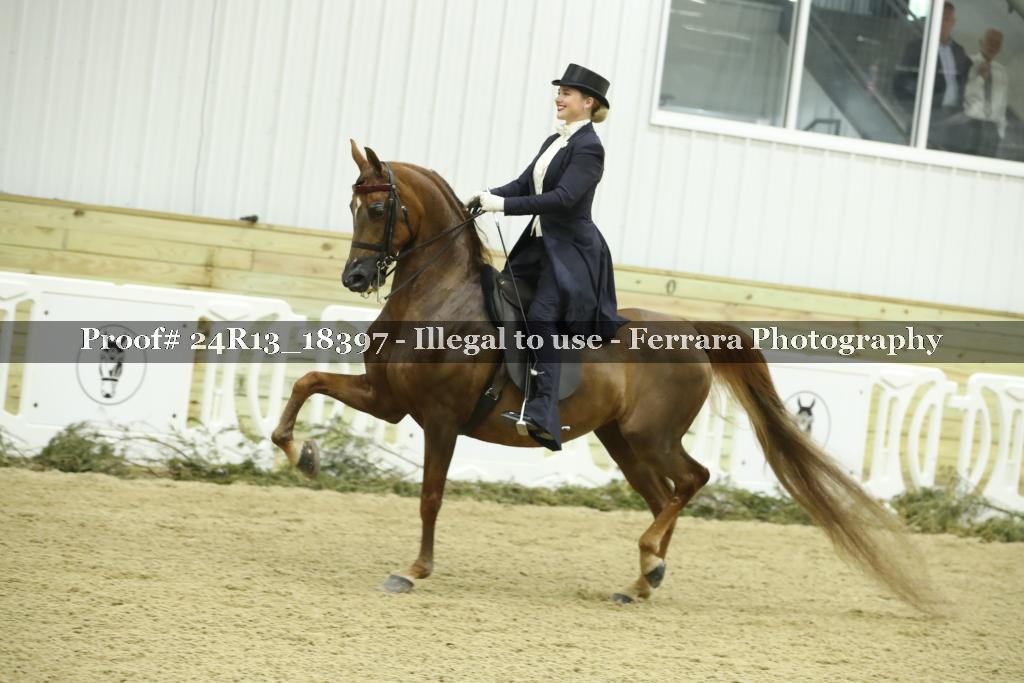 Proof 24R13_18397