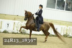 24R13_18397 proof