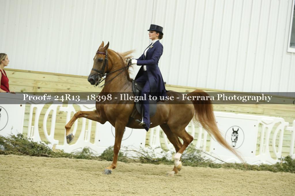 Proof 24R13_18398
