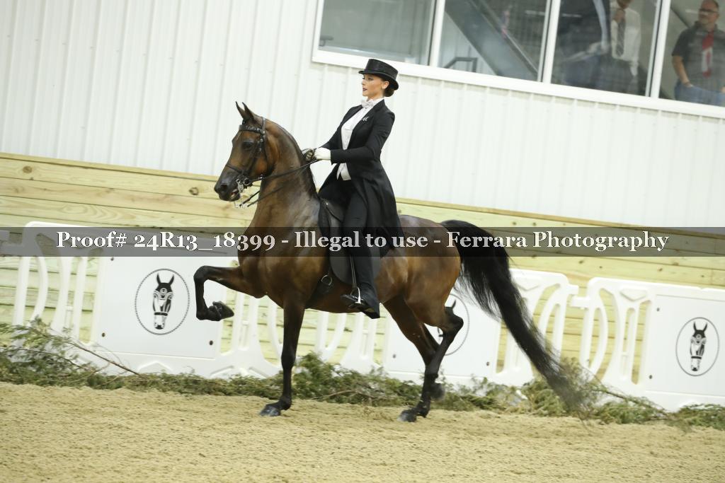 Proof 24R13_18399