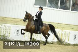 24R13_18399 proof