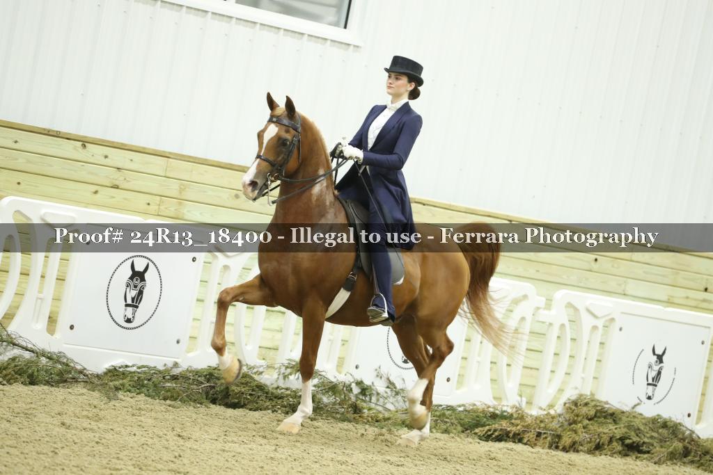 Proof 24R13_18400