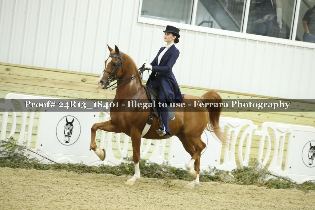 Proof 24R13_18401
